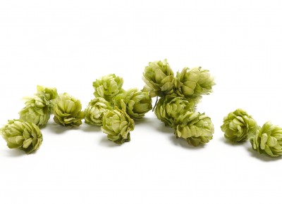 Hop Cones