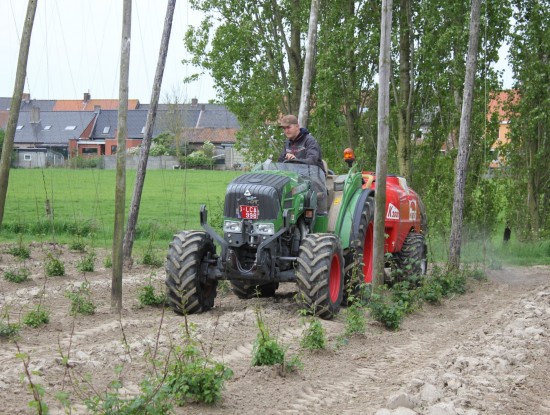 Ziektebestrijding